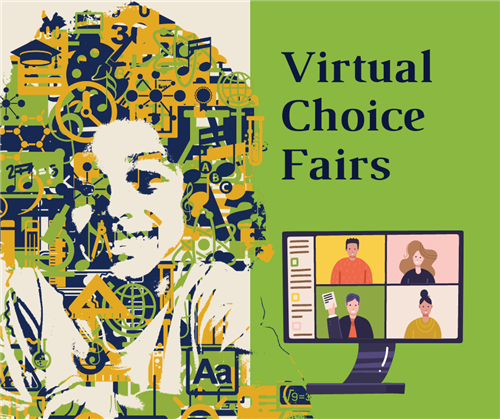 Virtual Choice Fairs 